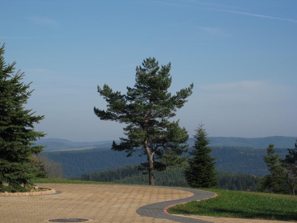 Pensjonat Orle Krynica Zdroj Exterior foto